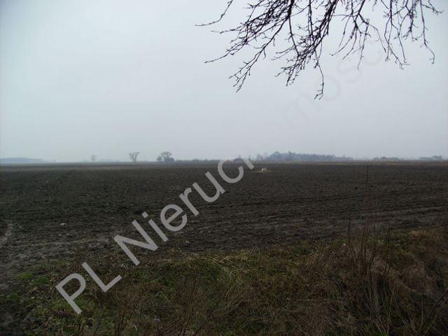 Grunt na sprzedaż w Tłuste, Mazowieckie