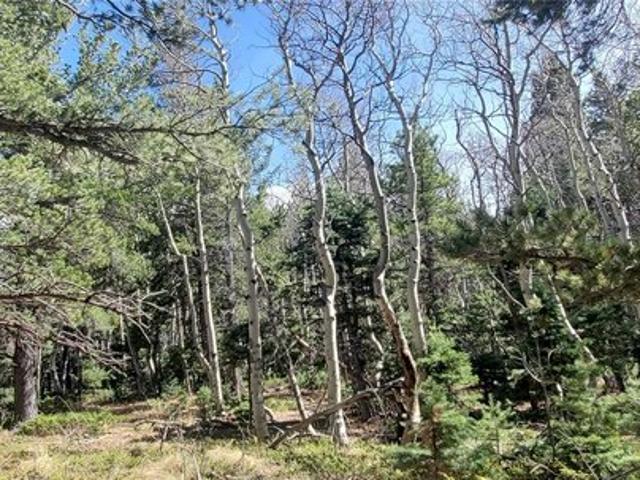 Land for sale in Fort Garland, Colorado