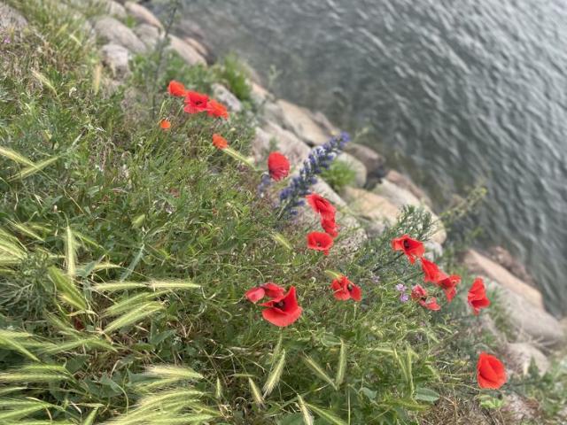 Rum hyra i Malmö, Skåne