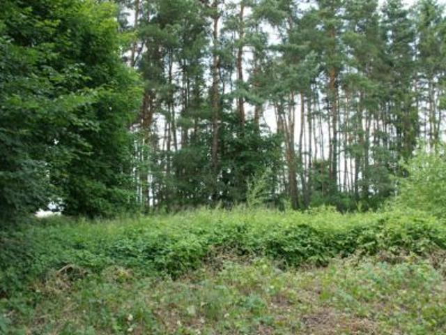 Grunt na sprzedaż w Gronowo Górne, Warmińsko-mazurskie
