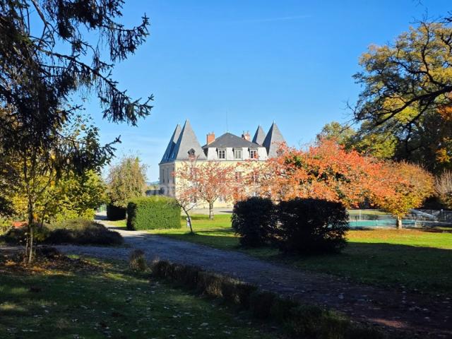 Château vente à Limoges, Châteauneuf-la-forêt