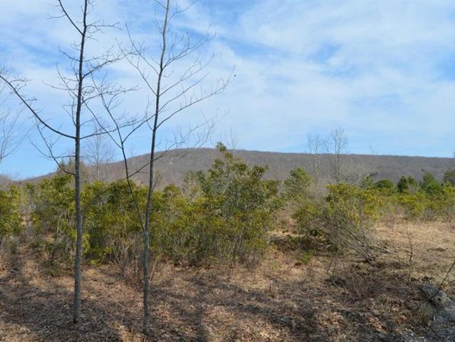 Land for sale in Terra Alta, West Virginia