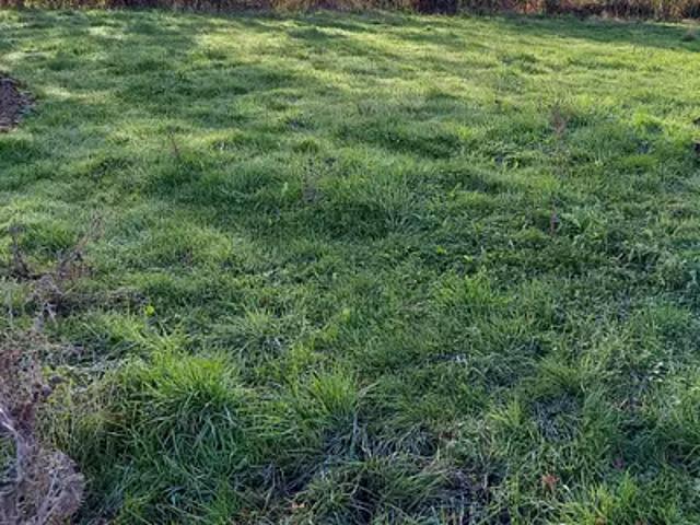 Terrain vente à La Proutelière, Grosbreuil