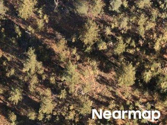 Land for sale in Bailey, Colorado