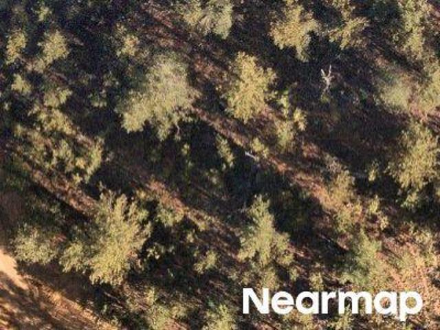 Land for sale in Bailey, Colorado