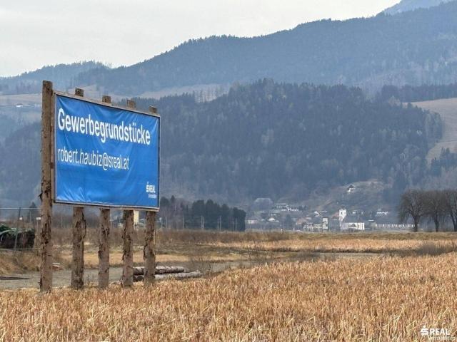 Immobilie kaufen in Engelsdorf, Friesach