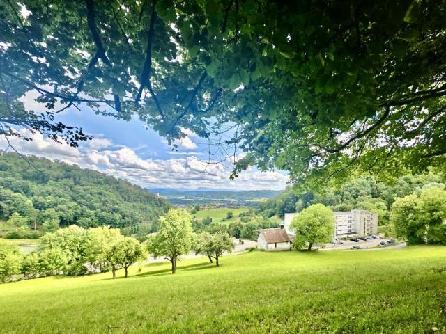 Wohnung kaufen in Lostorf, Solothurn