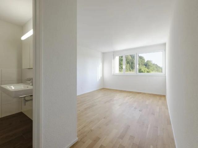 Apartment mieten in Hausen (AG), Bezirk Brugg