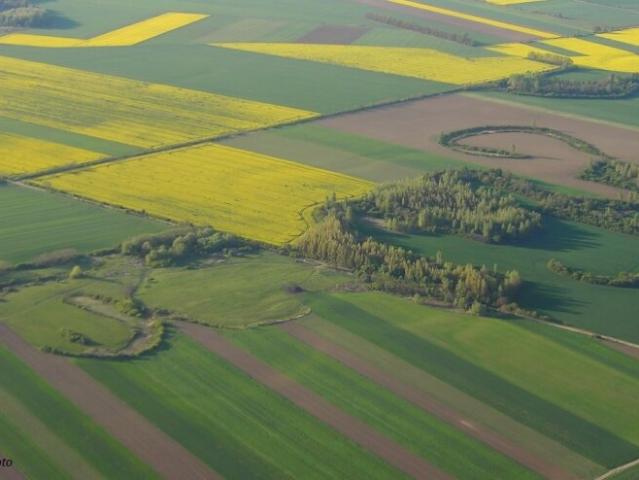 Landwirtschaft kaufen in Stainz, Steiermark