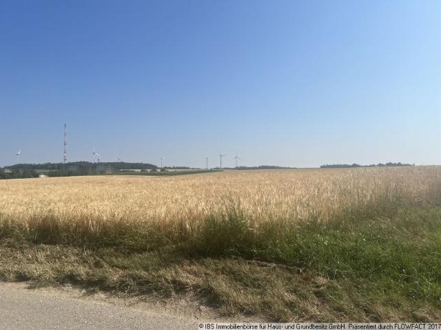 Landwirtschaft kaufen in Bächlingen, Langenburg