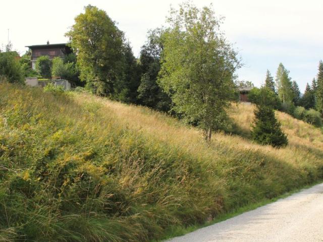 Immobilie kaufen in Plaffeien, Freiburg