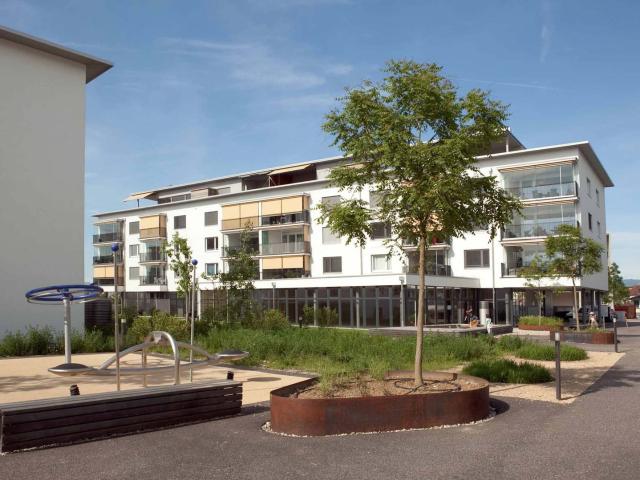 Apartment mieten in Rheinfelden, Aargau
