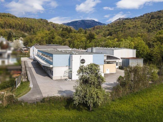 Gewerbe mieten in Glasenbach, Elsbethen