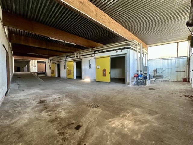 Gewerbe mieten in Hainfeld, Niederösterreich