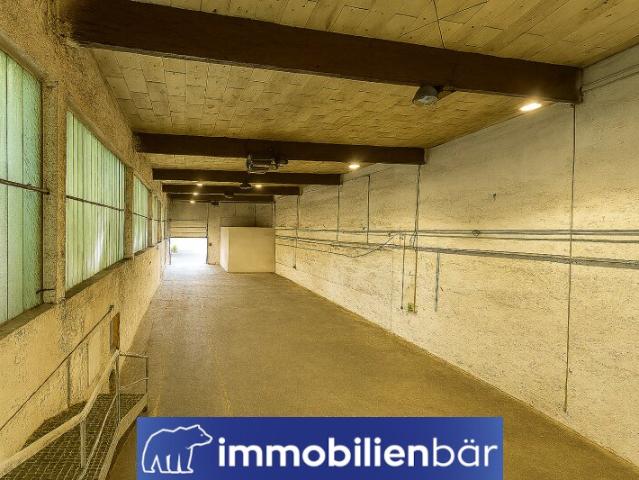 Gewerbe mieten in Thalheim bei Wels, Oberösterreich