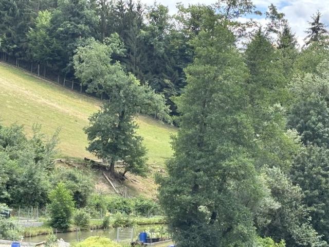 Grundstück kaufen in Stallhofen, Steiermark