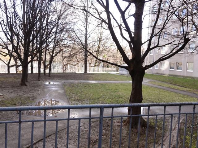 Wohnung mieten in Seestadt, Wien