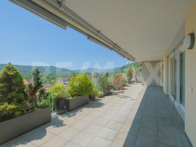 Attikawohnung kaufen in Brugg (AG), Aargau