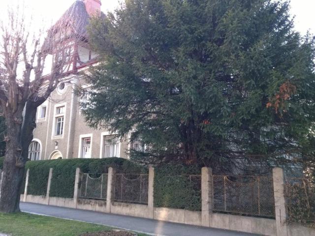 Apartment mieten in Gloggnitz, Niederösterreich