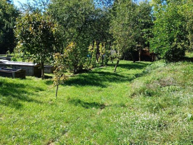 Grundstück kaufen in Grünbach am Schneeberg, Niederösterreich