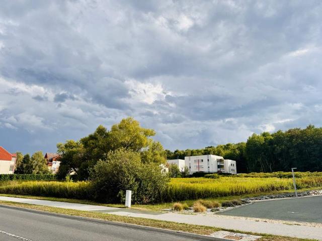 Grundstück kaufen in Katastralgemeinde Oberwart, Oberwart/Felsőőr