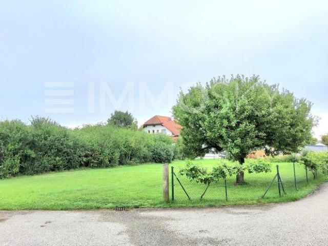 Immobilie kaufen in Marchtrenk, Oberösterreich