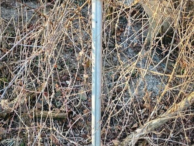 Grundstück kaufen in Großwilfersdorf, Steiermark