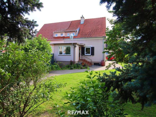 Haus kaufen in Traiskirchen