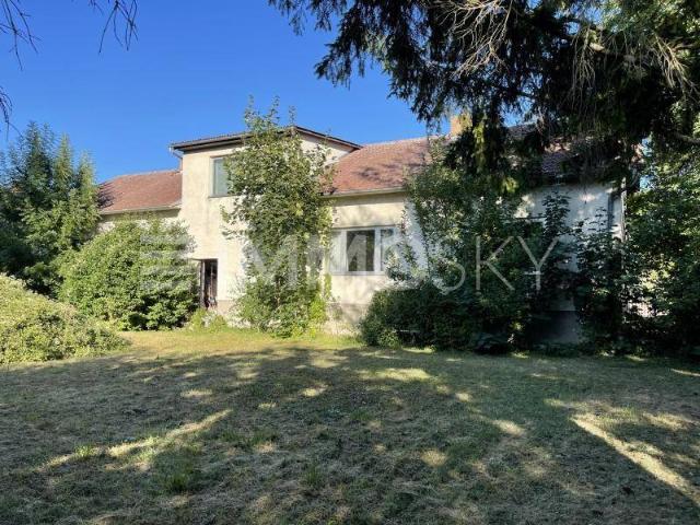 Haus kaufen in Haringsee