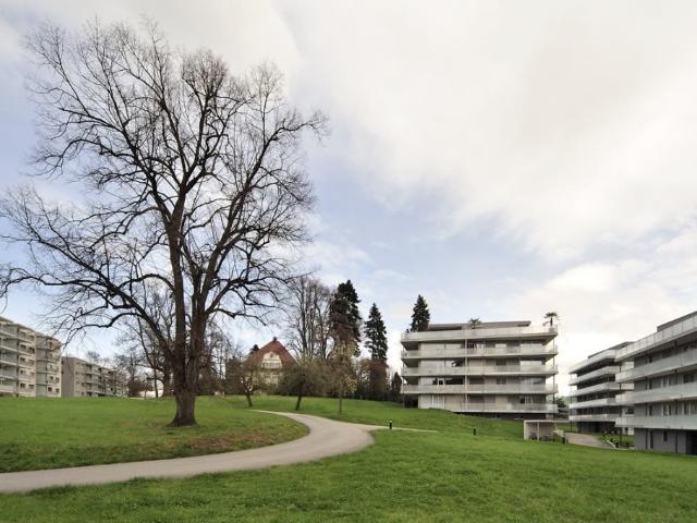 Immobilie mieten in Schwarzenbach (SG), St. Gallen