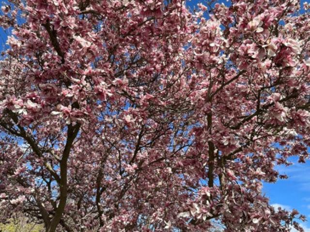 Haus kaufen in Kirchberg, Thal