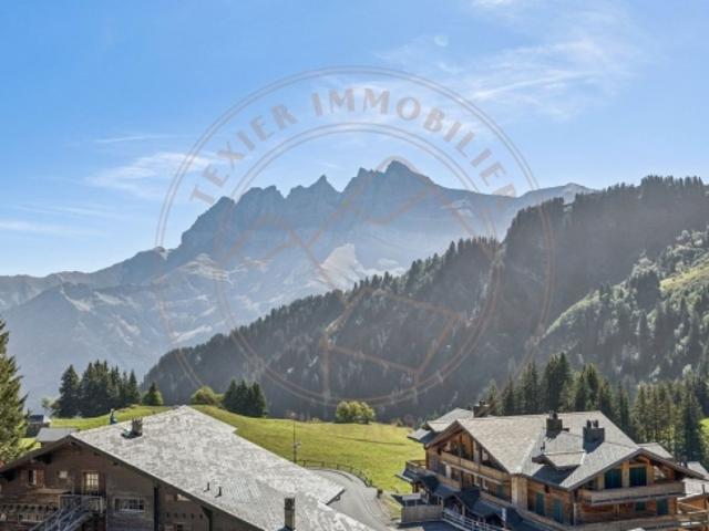 Wohnung kaufen in Val-d'Illiez, Wallis