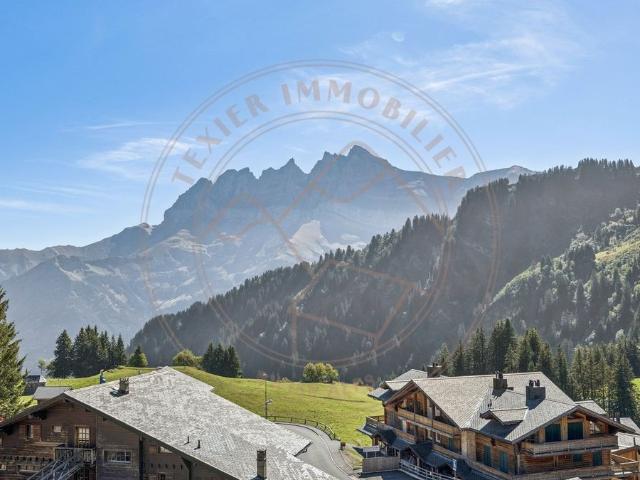 Wohnung kaufen in Val-d'Illiez, Wallis