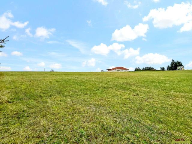 Grundstück kaufen in Deutsch Kaltenbrunn, Burgenland