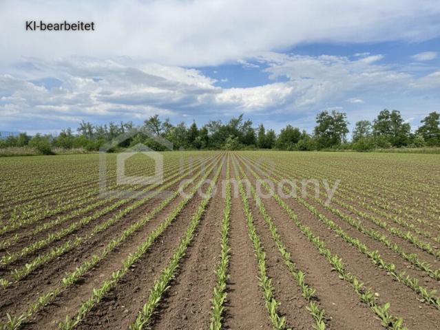 Landwirtschaft mieten in Sollenau, Niederösterreich
