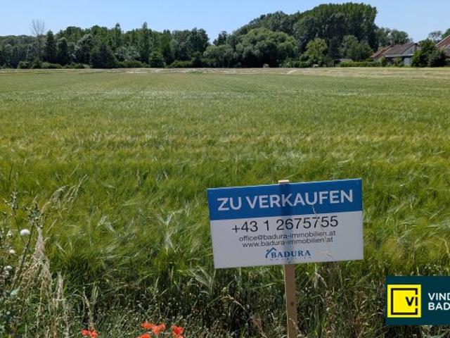 Grundstück kaufen in Trautmannsdorf, Niederösterreich