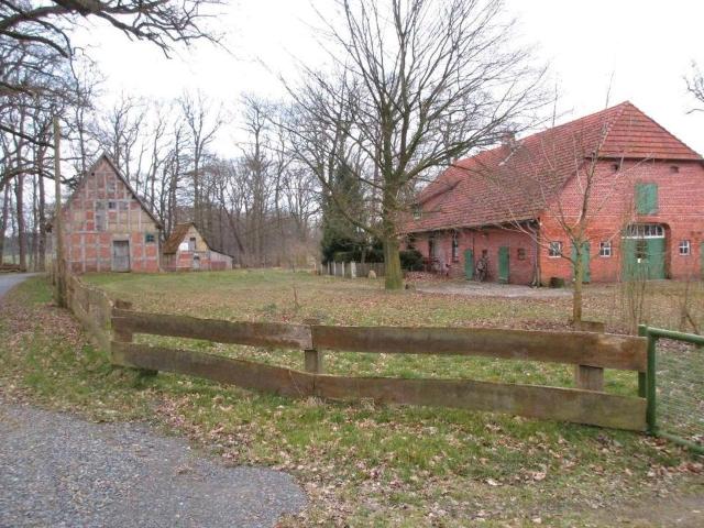 Haus kaufen in Wietzen
