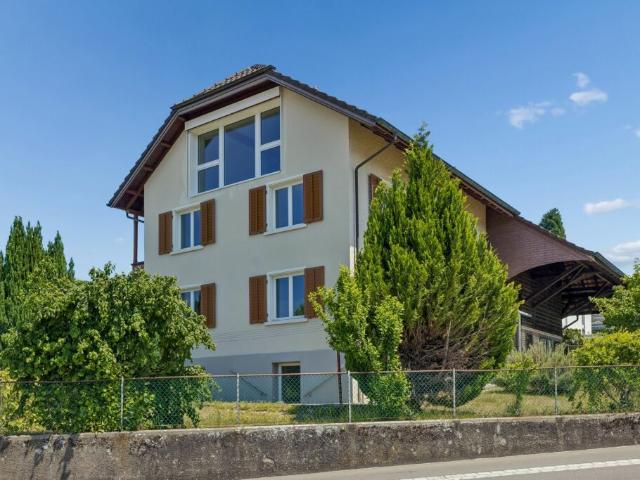 Immobilie kaufen in Meisterschwanden, Aargau