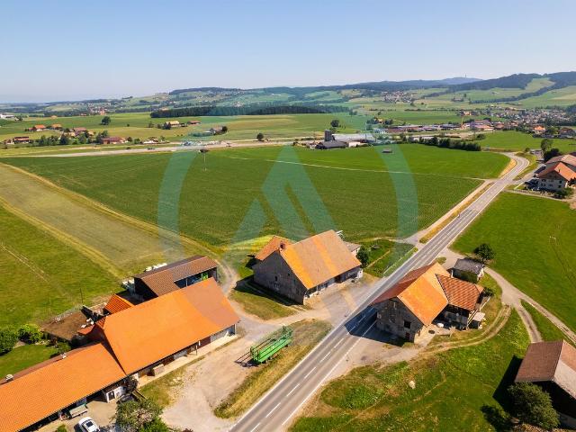 Landwirtschaft kaufen in Vaulruz, Freiburg