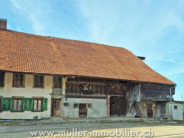 Landwirtschaft kaufen in Vaulruz, Freiburg
