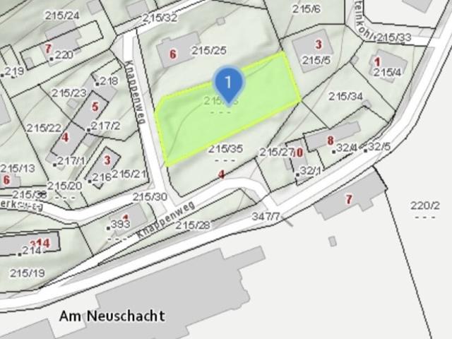 Grundstück kaufen in Grünbach am Schneeberg, Niederösterreich