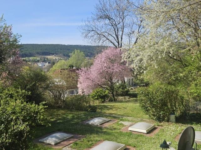 Grundstück kaufen in Markt Piesting, Niederösterreich
