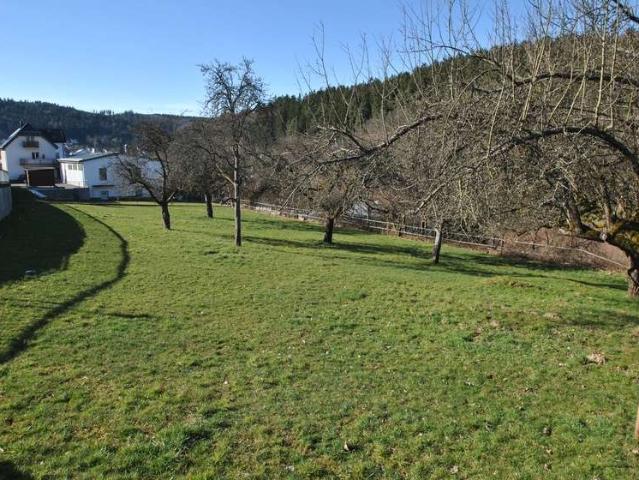 Erdgeschosswohnung kaufen in Schmitten, Schmitten im Taunus