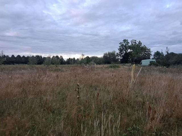 Erdgeschosswohnung mieten in Rhinow, Brandenburg