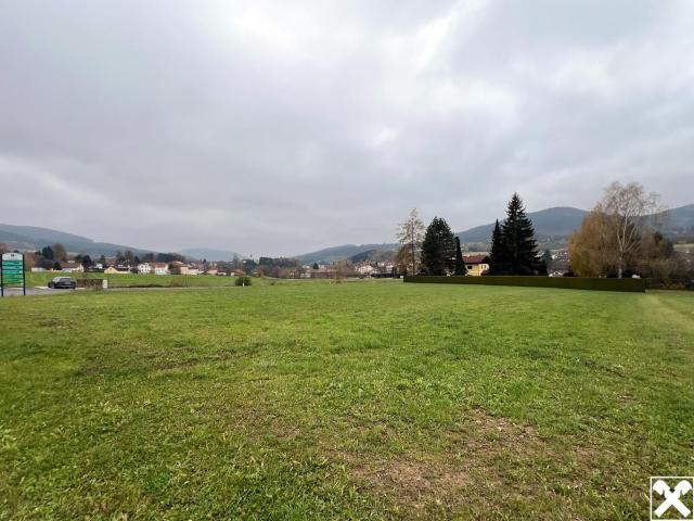 Grundstück kaufen in Yspertal, Niederösterreich