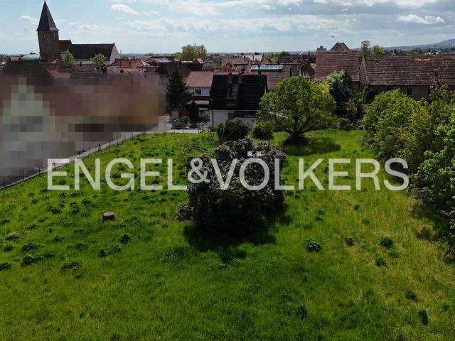 Erdgeschosswohnung kaufen in Neustadt an der Weinstraße, Neustadt