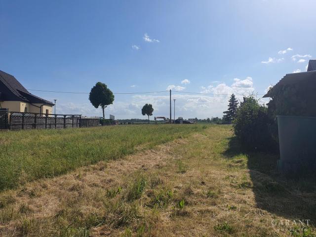 Landwirtschaft kaufen in Zeckritz, Beilrode