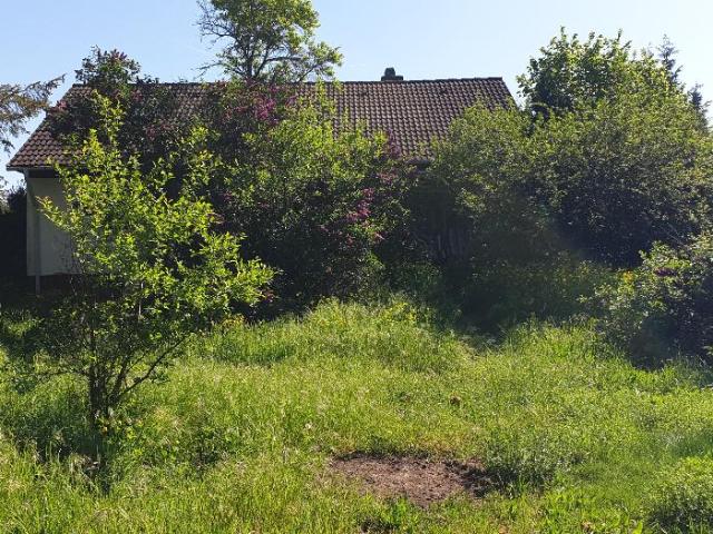 Erdgeschosswohnung mieten in Hanau, Hessen