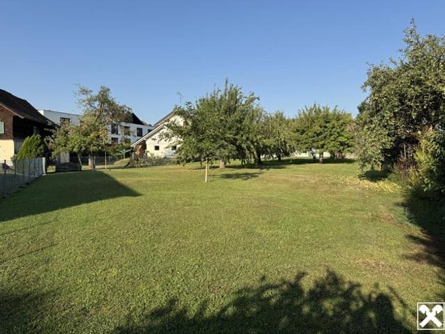 Grundstück kaufen in Lustenau, Vorarlberg