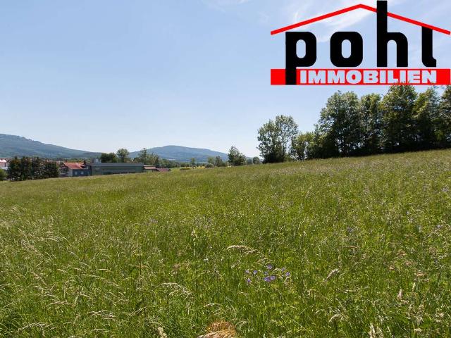 Erdgeschosswohnung kaufen in Haina, Nessetal